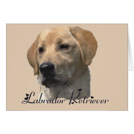Labrador Retriever-gåvor Hälsningskort