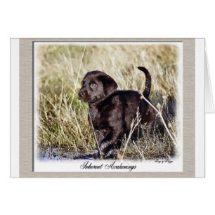 Labrador Retriever-gåvor Hälsningskort
