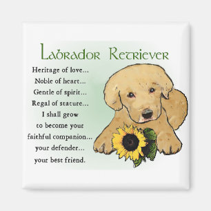 Labrador Retriever-gåvor Magnet