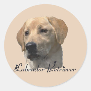 Labrador Retriever-gåvor Runt Klistermärke