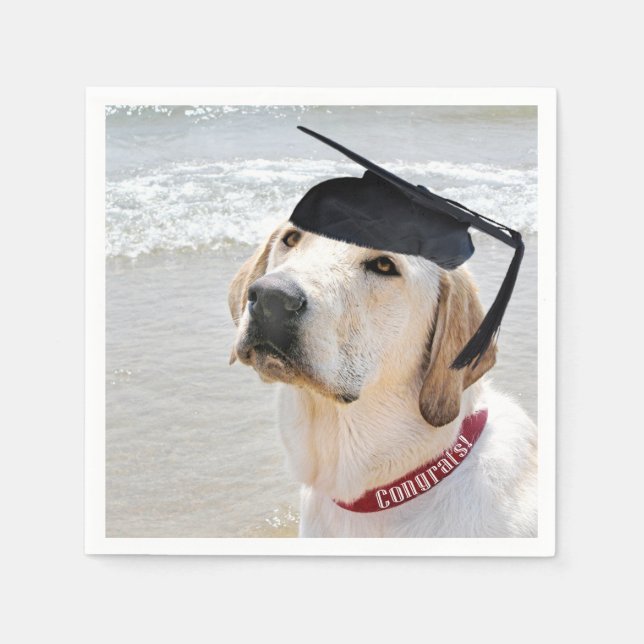 Labrador Retriever Graduate With Cap Pappersservett (Framsidan)
