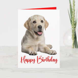 Labrador Retriever Gul Lab Valp Hund Födelsedag Kort