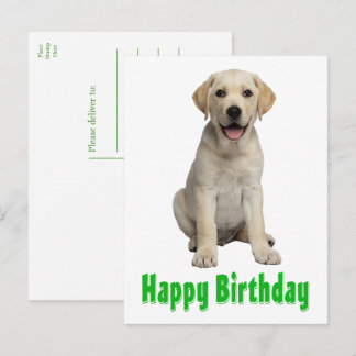 Labrador Retriever Gul Lab Valp Hund Födelsedag Vykort