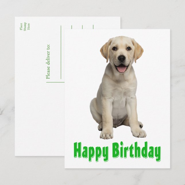 Labrador Retriever Gul Lab Valp Hund Födelsedag Vykort (Fram/baksida)