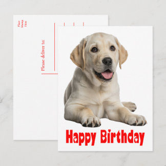 Labrador Retriever Gul Lab Valp Hund Födelsedag Vykort