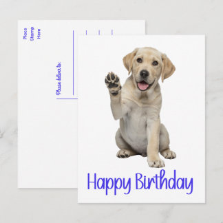 Labrador Retriever Gul Lab Valp Hund Födelsedag Vykort