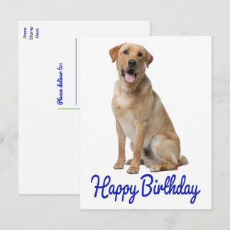 Labrador Retriever Gul Lab Valp Hund Födelsedag Vykort