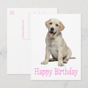 Labrador Retriever Gul Lab Valp Hund Födelsedag Vykort