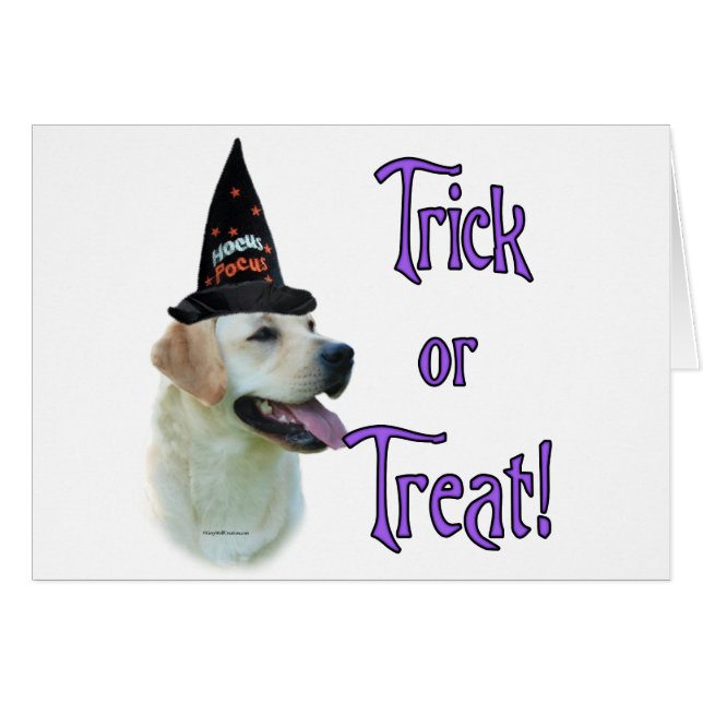 Labrador Retriever (gult) Trick Hälsningskort (Framsidan Horizontal)