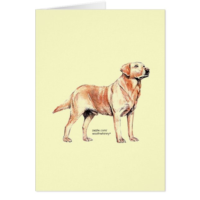 Labrador Retriever Hälsningskort (Framsidan)