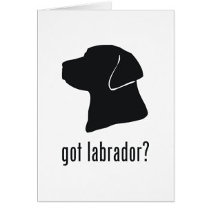 Labrador Retriever Hälsningskort