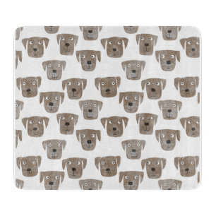 Labrador Retriever Hund