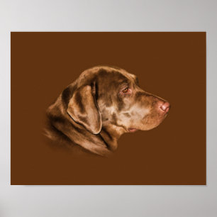 Labrador Retriever Hund, Anpassade Poster