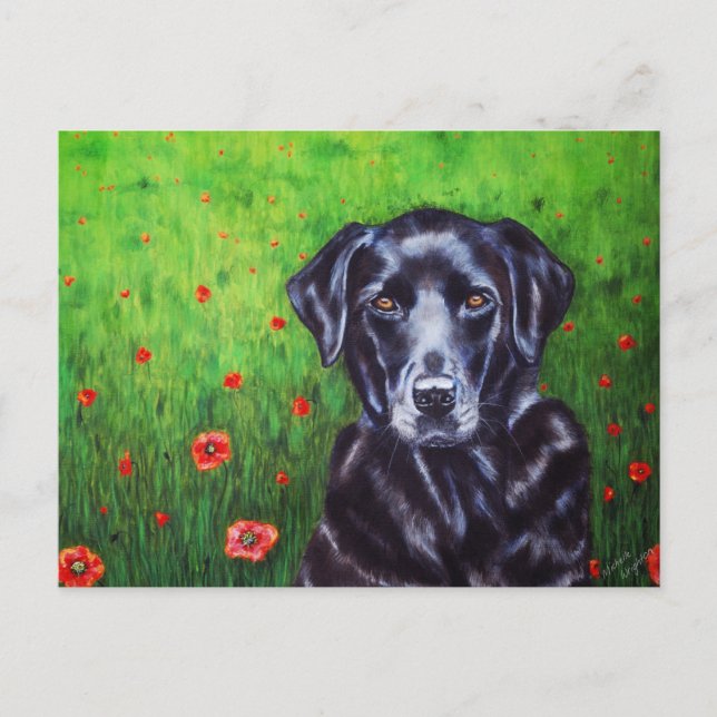 Labrador Retriever Hund Art - Poppy Vykort (Framsida)