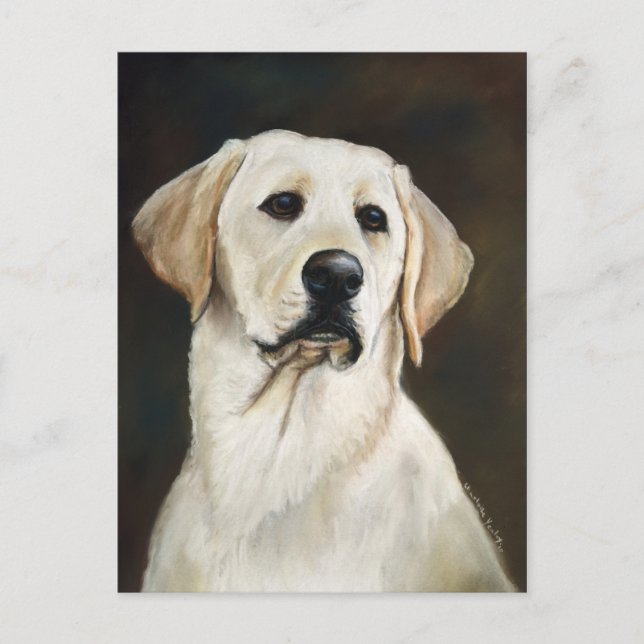 Labrador Retriever Hund Art-vykort Vykort (Framsida)