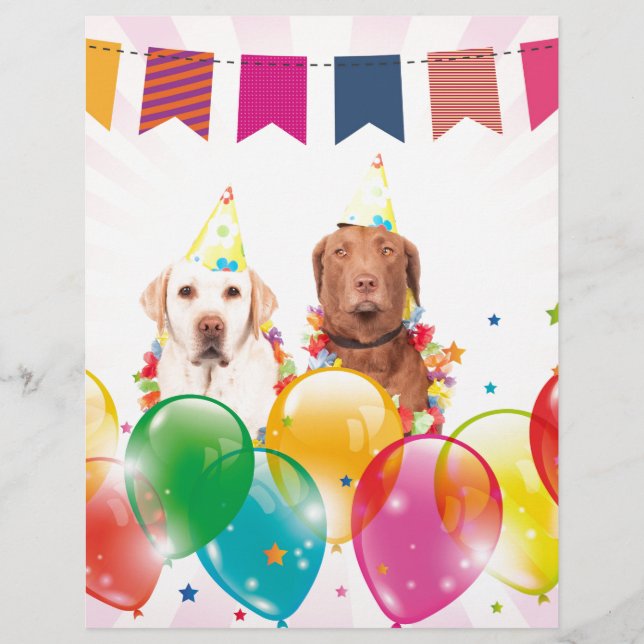 Labrador Retriever Hund Balloons Birthday (Framsida)