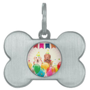 Labrador Retriever Hund Balloons Birthday Namnbricka Husdjur