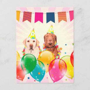 Labrador Retriever Hund Balloons Birthday Vykort