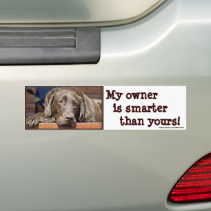 Labrador Retriever Hund Photograph Funny Bildekal