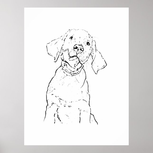 Labrador Retriever Hund Postkort Poster (Framsidan)