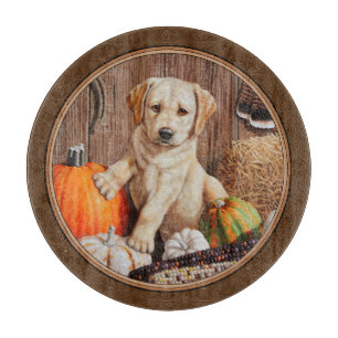 Labrador Retriever Hund & Pumpkins Brown