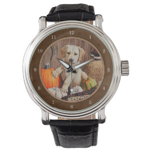 Labrador Retriever Hund & Pumpkins Brown Armbandsur