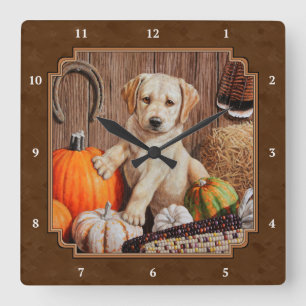Labrador Retriever Hund & Pumpkins Brown Fyrkantig Klocka