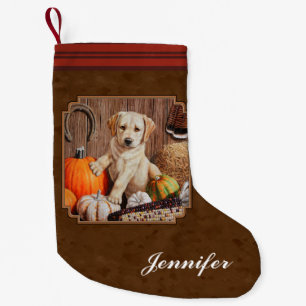 Labrador Retriever Hund & Pumpkins Brown Liten Julstrumpa