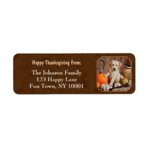 Labrador Retriever Hund & Pumpkins Brown Returadress Etikett