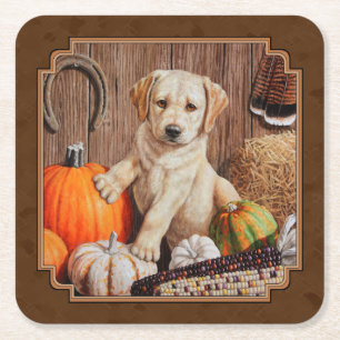 Labrador Retriever Hund & Pumpkins Brown Underlägg Papper Kvadrat