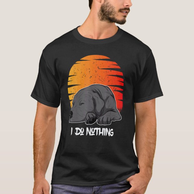 Labrador Retriever Hund Solnedgång 55 T Shirt (Framsida)