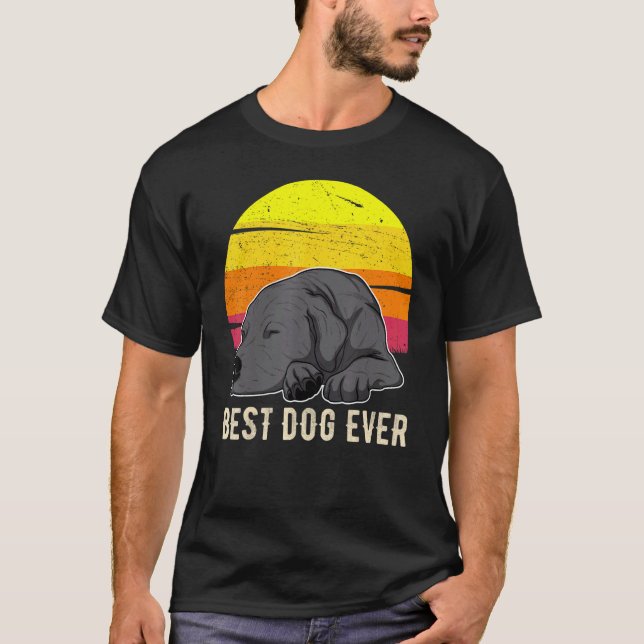 Labrador Retriever Hund Solnedgång 59 T Shirt (Framsida)