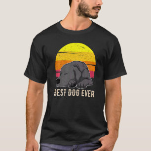 Labrador Retriever Hund Sunset 57 T Shirt