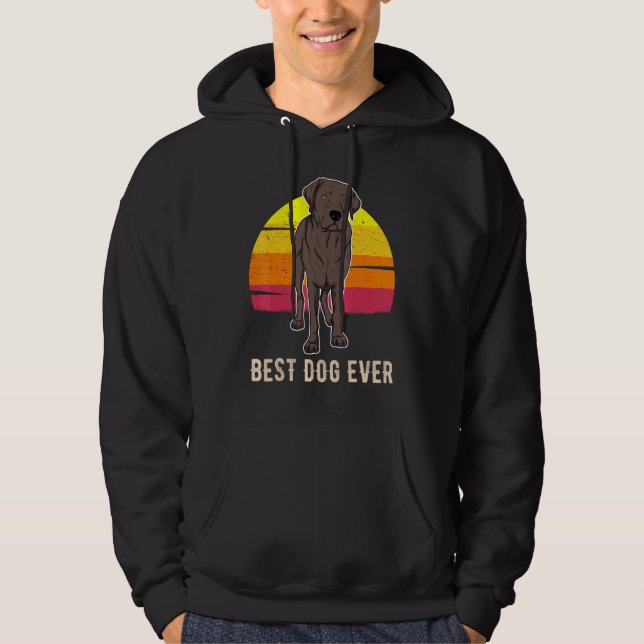 Labrador Retriever Hund Sunset 8 Hoodie (Framsida)