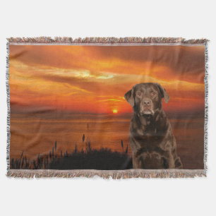 Labrador Retriever Hund Sunset Throw Blanket Filt