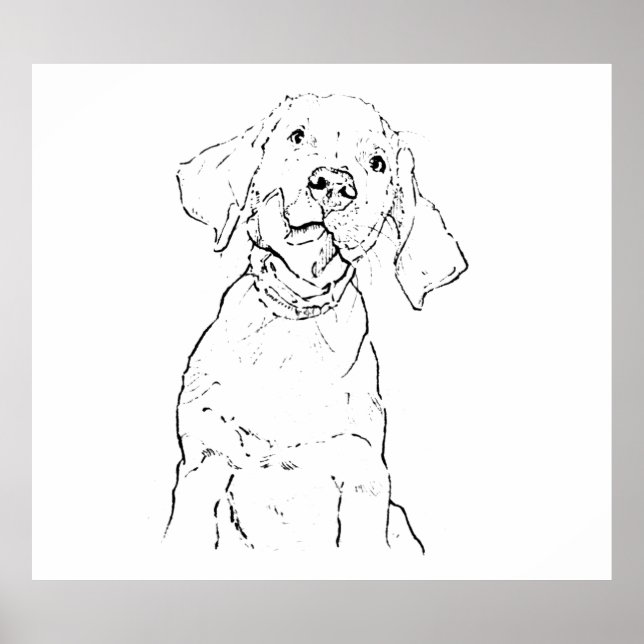 Labrador Retriever Hund Väggkonst, Affisch Tecknin (Framsidan)