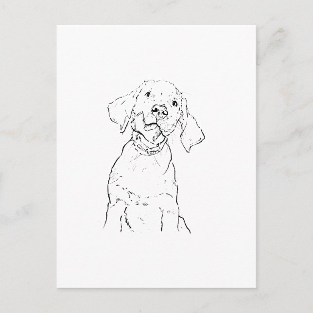 Labrador Retriever Hund vykort (Framsida)