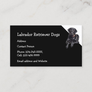 Labrador Retriever Hundar Breeder Pet Sitter Visitkort