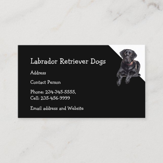 Labrador Retriever Hundar Breeder Pet Sitter Visitkort (Framsida)