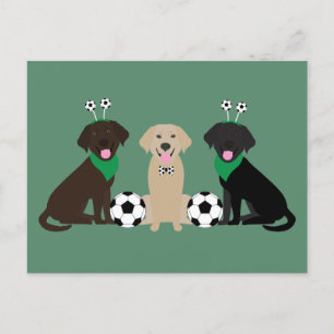 Labrador Retriever Hundar spelar fotboll Vykort