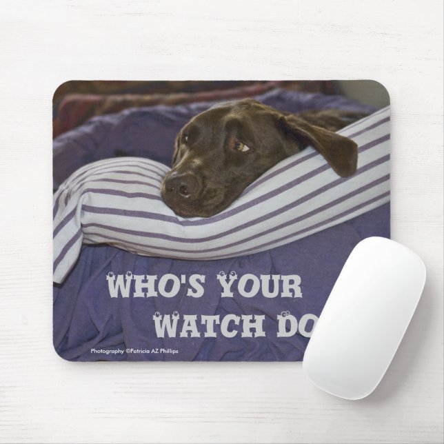 Labrador Retriever in bed Musmatta (Med mus)