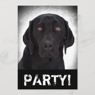 Labrador Retriever Inbjudningar