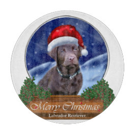 Labrador Retriever jul