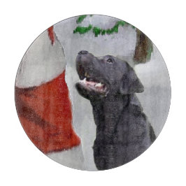 Labrador Retriever jul