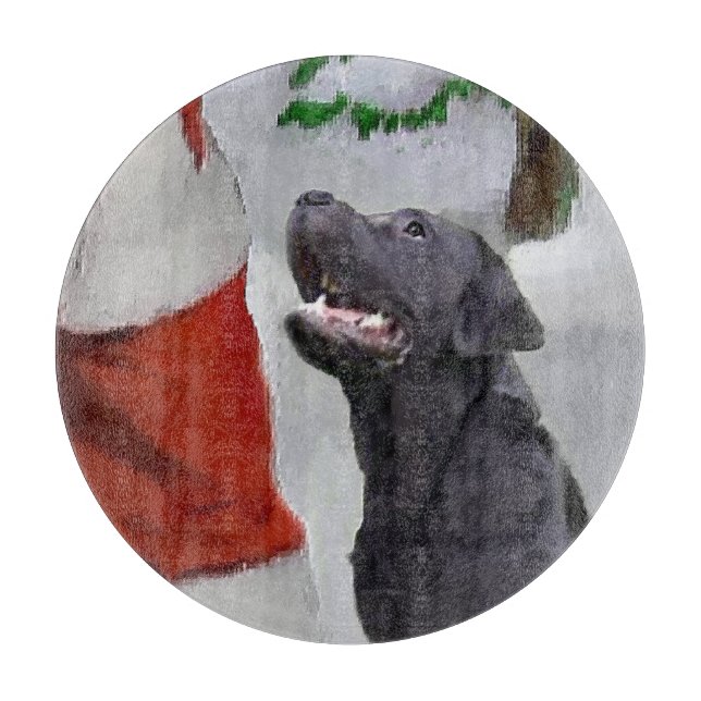 Labrador Retriever jul (Framsidan)