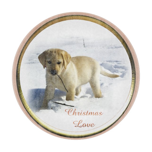 Labrador Retriever jul (Framsidan)