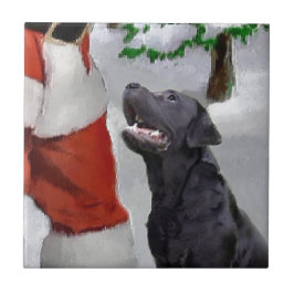 Labrador Retriever jul Kakelplatta