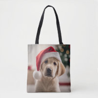 Labrador Retriever jul