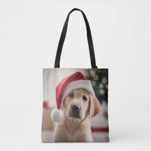 Labrador Retriever jul Tygkasse
