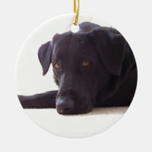 labrador retriever julgransprydnad keramik